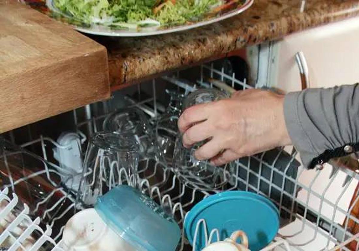 A pharmacist explains why you should not cook in the dishwasher